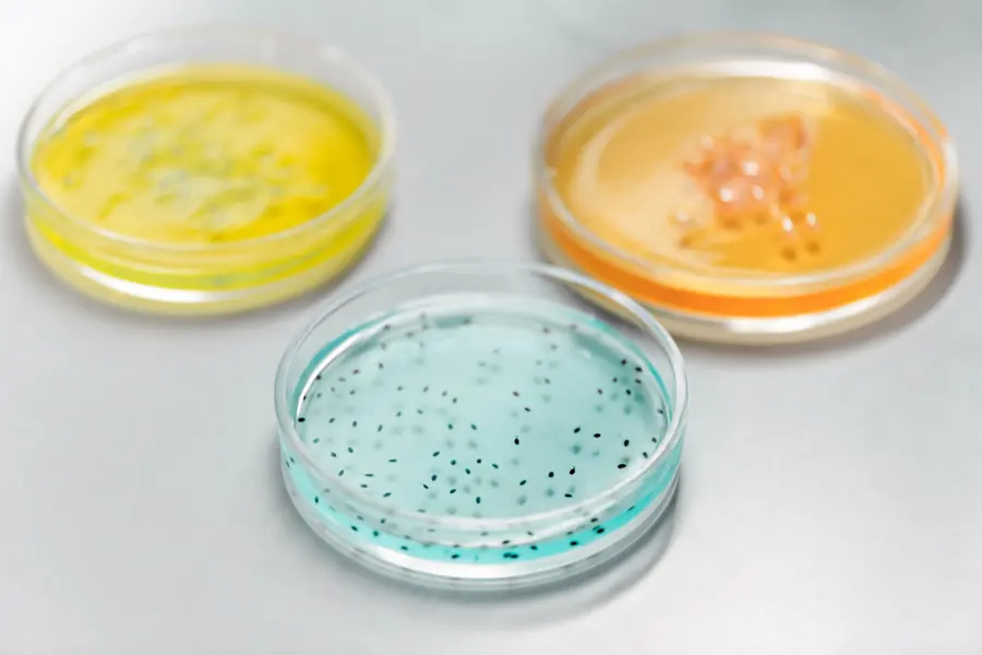 HACCP, GMP & FOSTAC Training